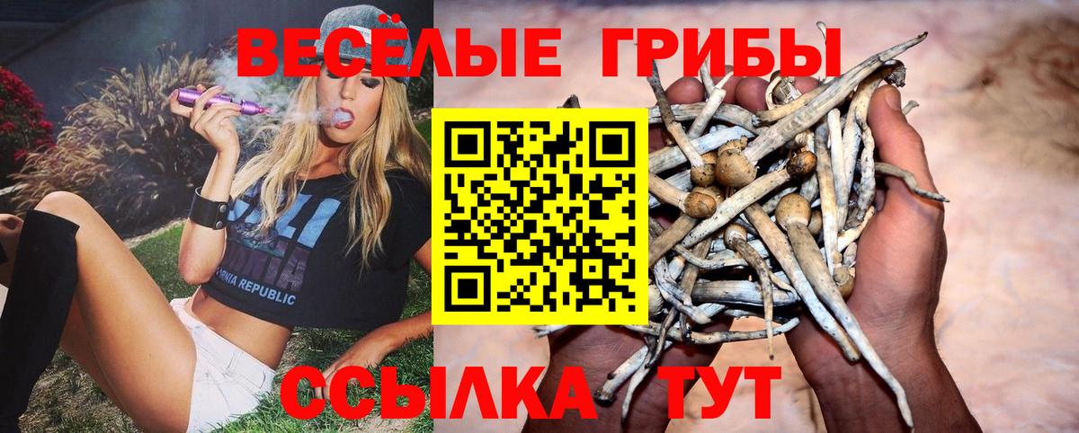 Галлюциногенные грибы ЛСД  Вход с VPN  Петрозаводск 